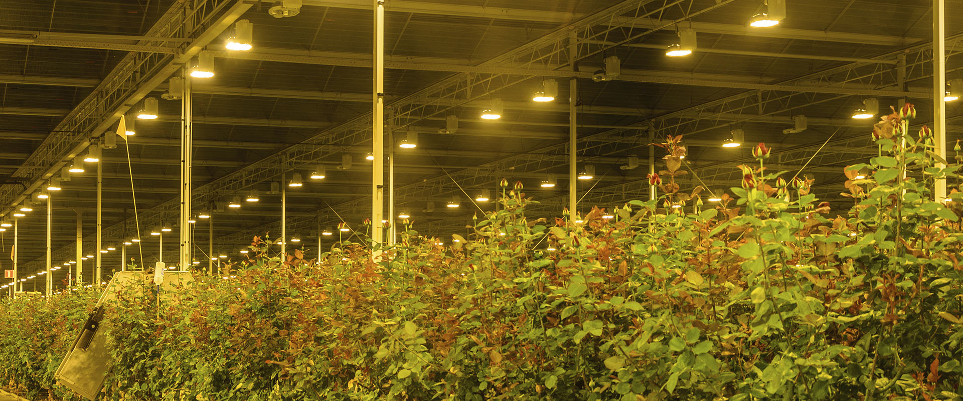 Van Empel Inspecties en Advisering